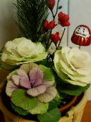 �t�{�^����